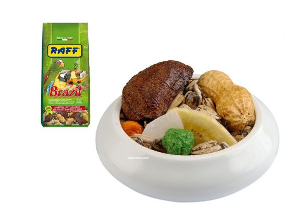 RAFF BRAZIL NUTS